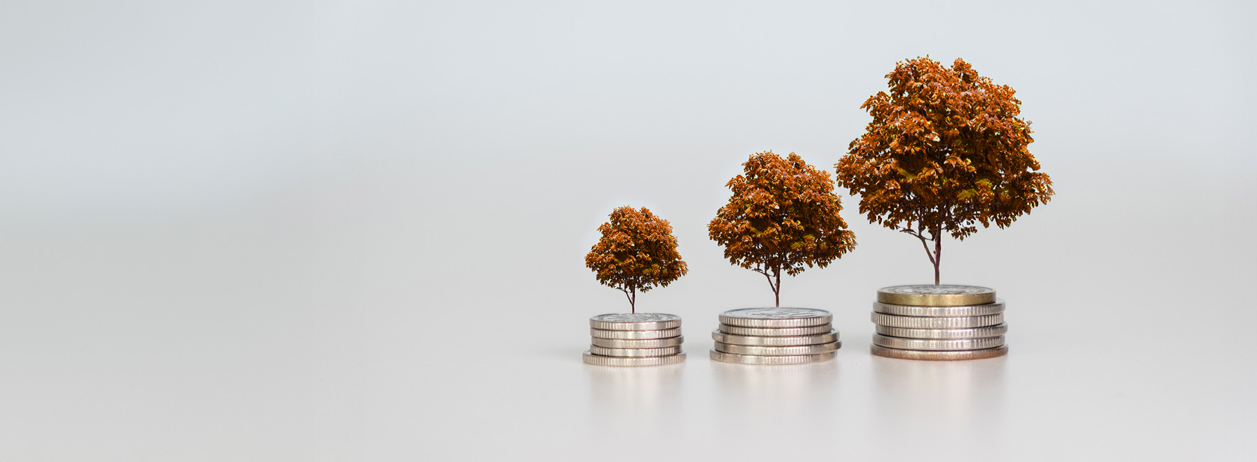 Trees progressively getting larger in size with a growing pile of change below each of them.